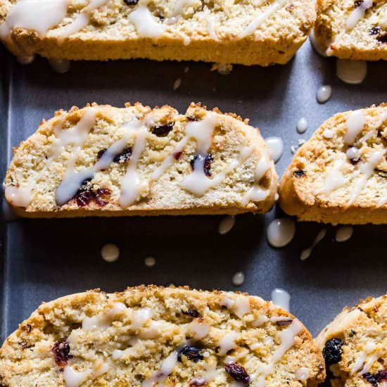 Cranberry Orange Biscotti Cookies