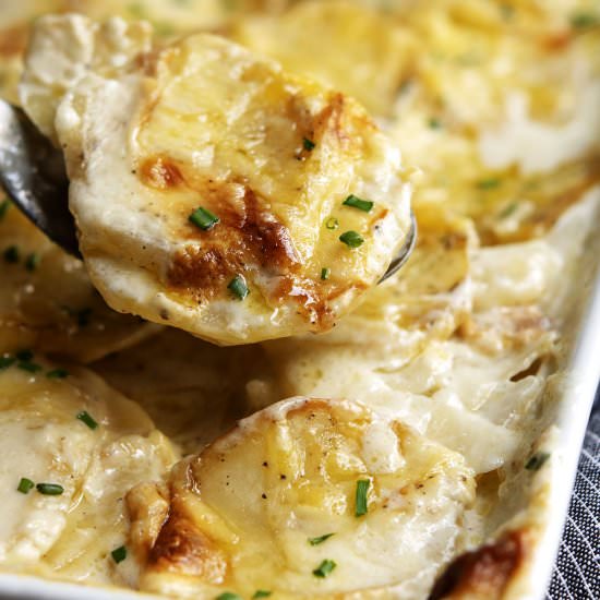 Gratin Dauphinois