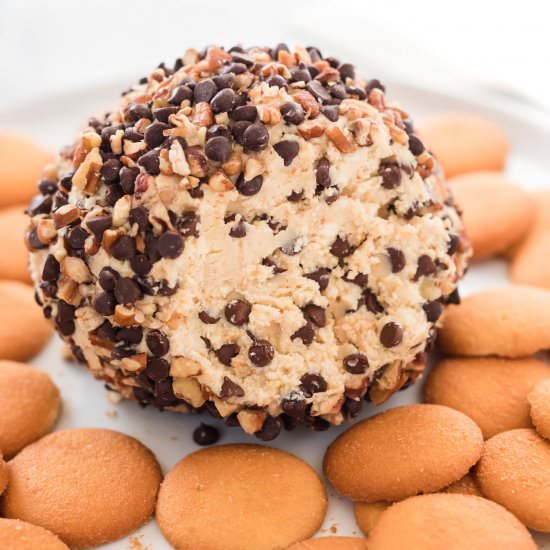 Chocolate Chip Cheese Ball