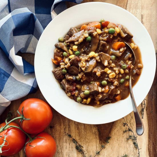 Instant Pot Vegetable Beef Soup