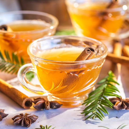 Keto Hot Apple Cider
