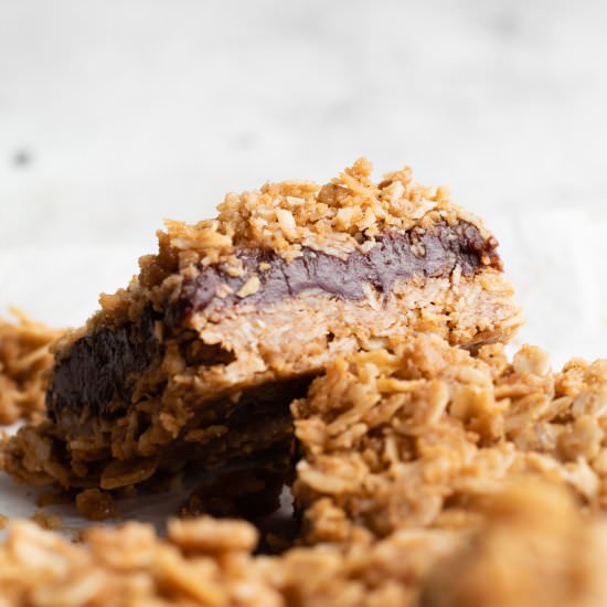 Chocolate Peanut Butter Oat Bars