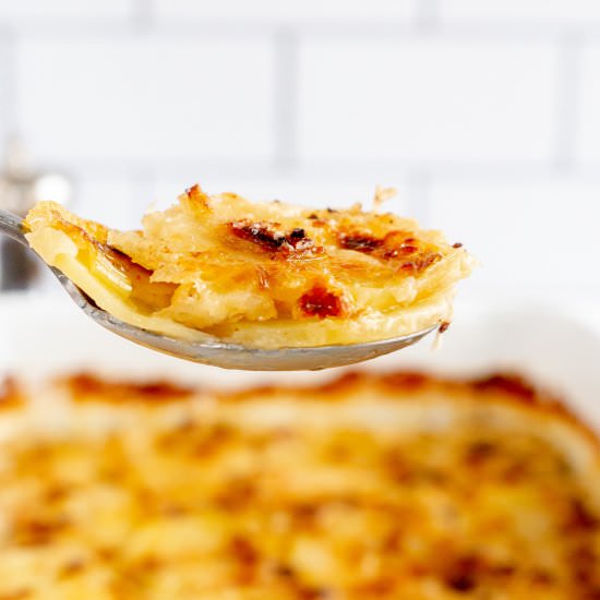 Potato Leek Gratin