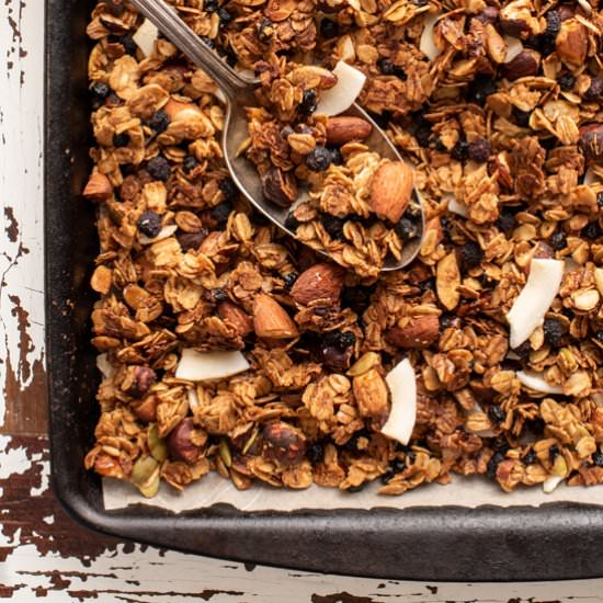 Coconut Blueberry Granola