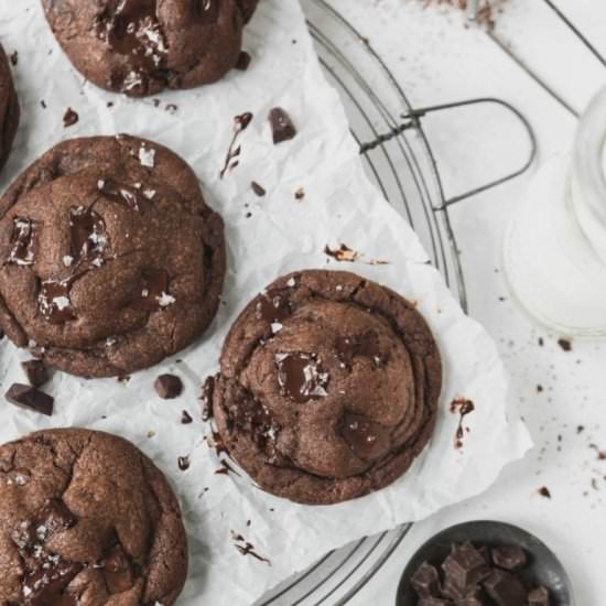 Best Chocolate Chip Chocolate Cooki