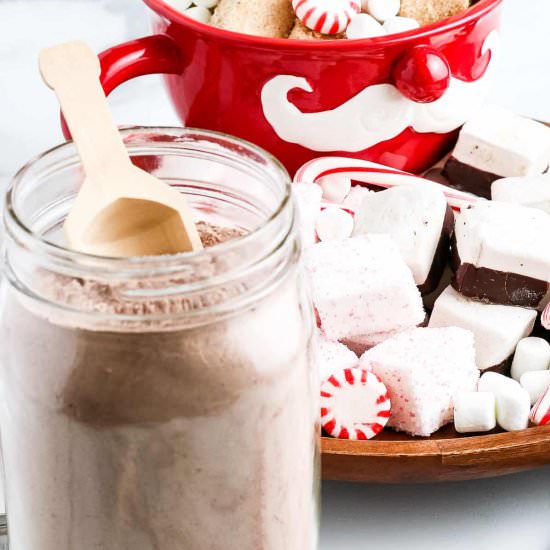 Homemade Hot Chocolate Mix