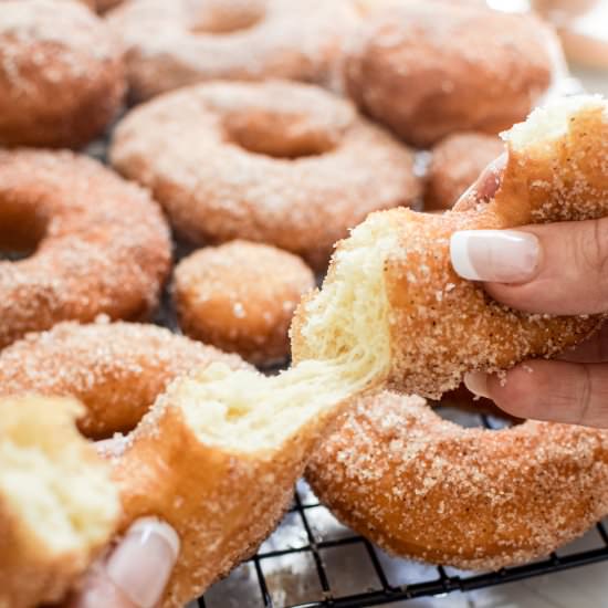 Fluffy Buttermilk Doughnuts