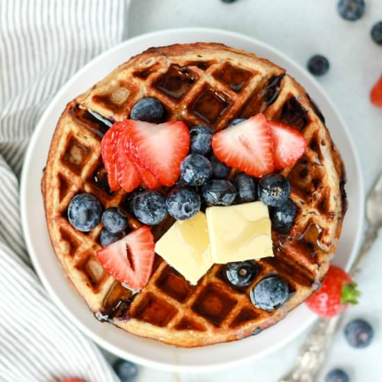 Blueberry Buttermilk Protein Waffle