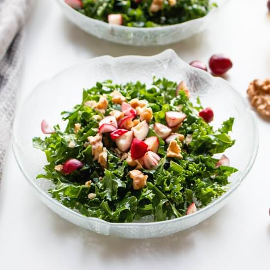 kale salad with cranberries