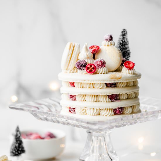 Cranberry Vanilla Macaron Cake