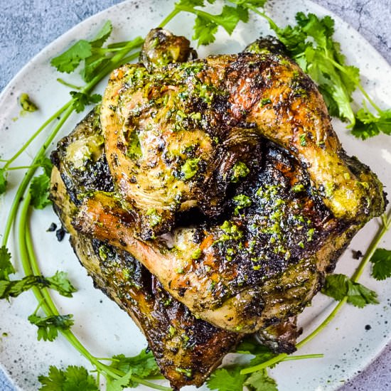 Cilantro Chimichurri Chicken