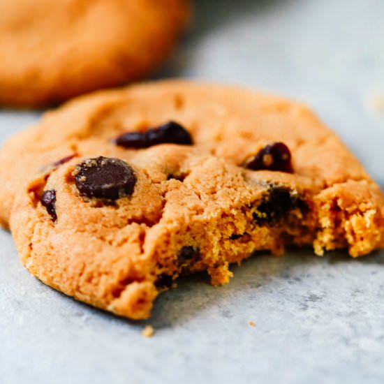 Cranberry Chocolate Chip Cookies