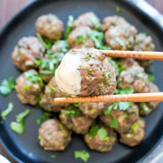 Vietnamese Meatballs (Bun Cha)