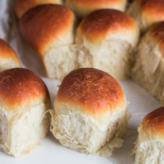 Sourdough Hokkaido Milk Bread