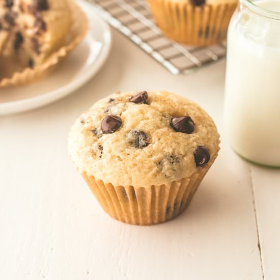 Chocolate Chip Muffins