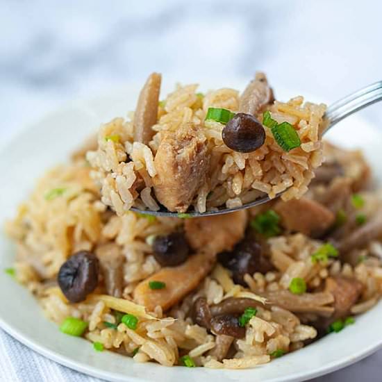 Sesame Oil Chicken Rice