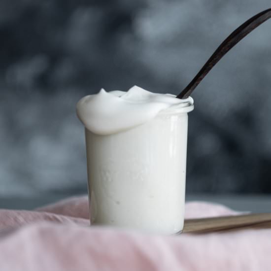 Vegan Mayo