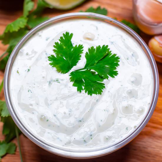 Cilantro Garlic Sauce Pollo Tropica