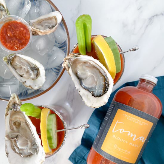 Cucumber Gin Bloody Mary Recipe