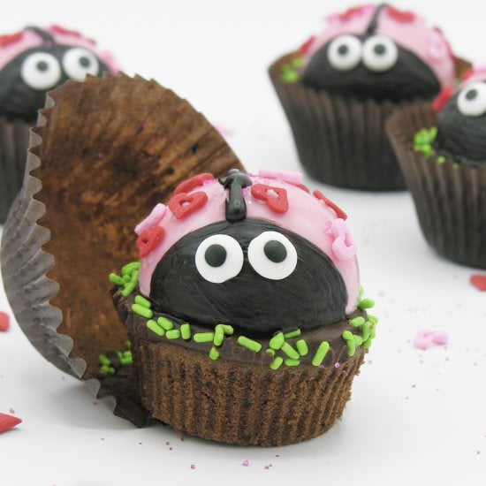 Love Bug Cupcakes