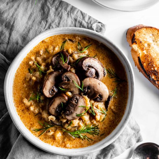 mushroom barley soup