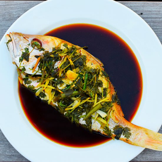 Steamed Red Snapper