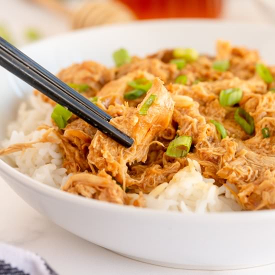 Slow Cooker Honey Soy Chicken