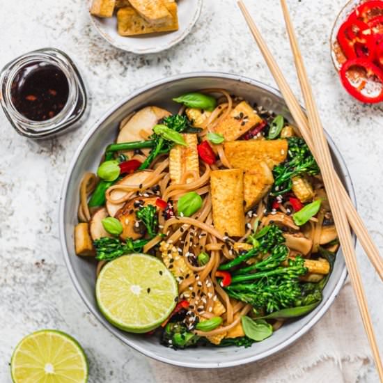 Vegan “Drunken” Noodles