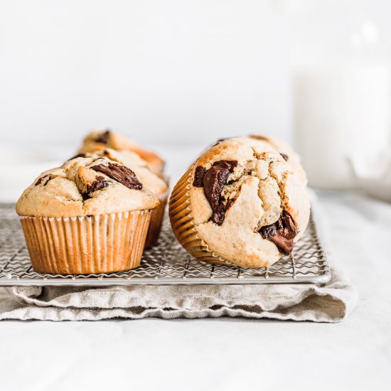 Chocolate chip muffins