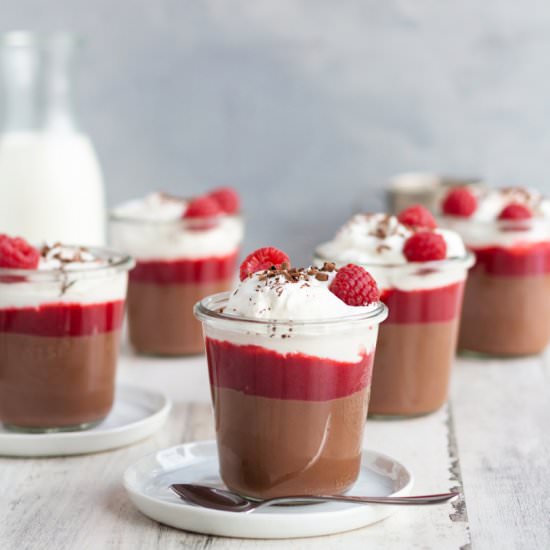 Milk Chocolate Raspberry Pudding