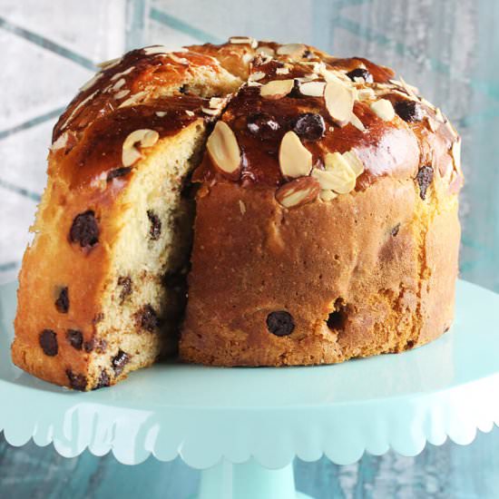 Chocolate chips panettone
