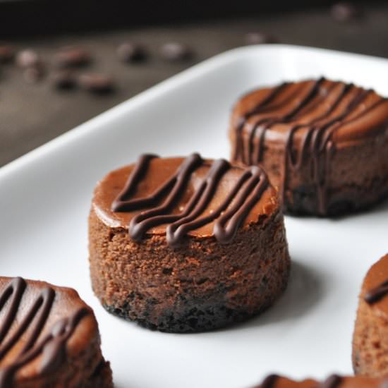 Mini Mocha Cheesecakes