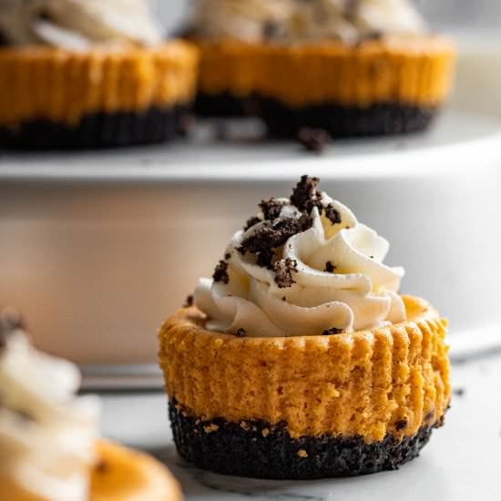 Mini Pumpkin Cheesecakes