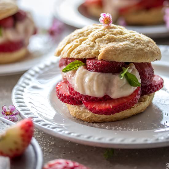 Strawberry Basil Shortcakes