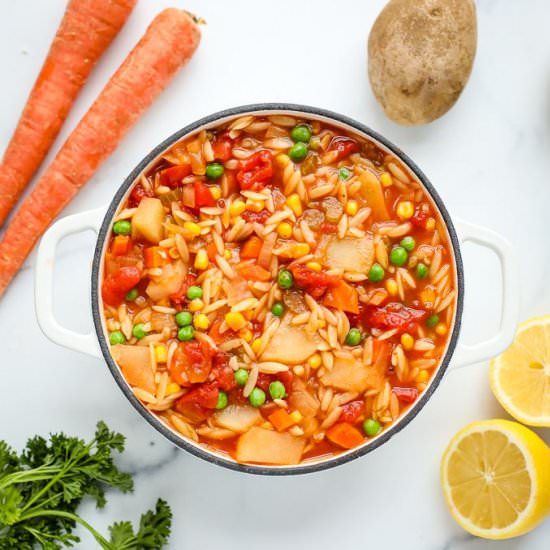 Orzo Vegetable Soup