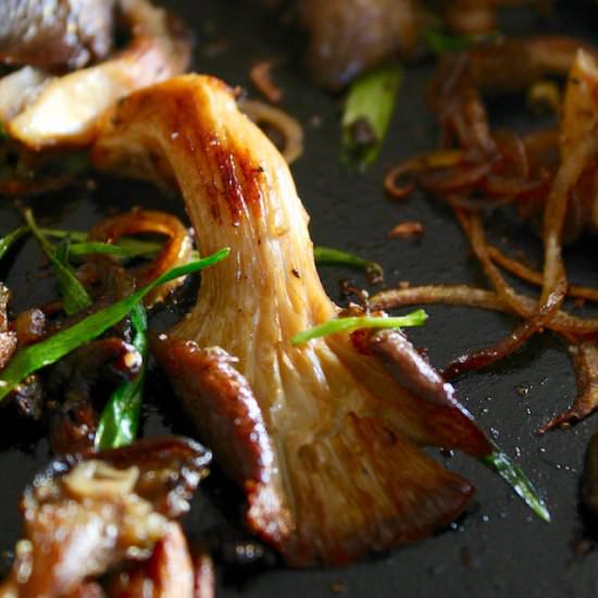 Oyster Mushroom Recipe