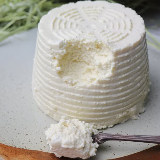 Homemade Vegan Ricotta