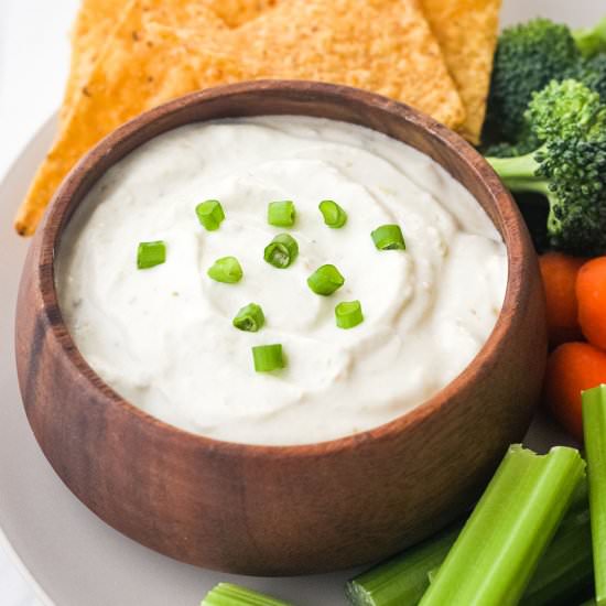Greek Yogurt Salsa Dip