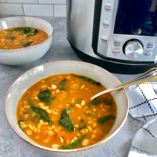 Instant Pot Bean and Barley Soup