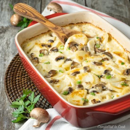 Potato and Mushroom Gratin