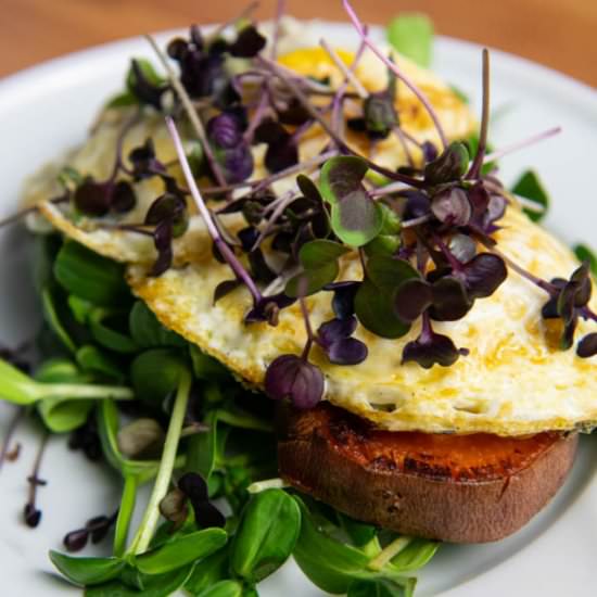 Sweet Potato Breakfast Rounds