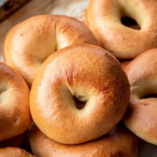 Homemade Bagel Recipe