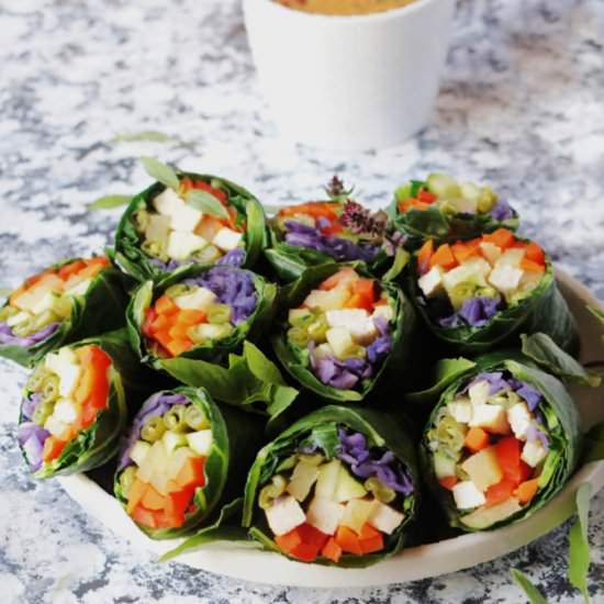 Gado Gado Rolls with Peanut Sauce