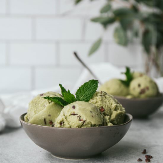 Fresh Mint Chocolate Chip Ice Cream