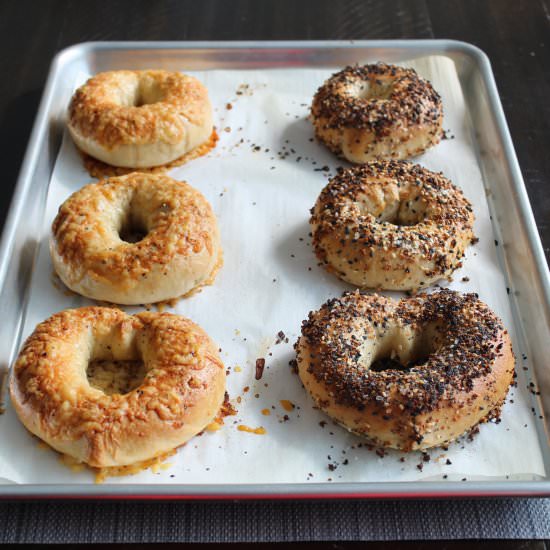 Assorted Homemade Bagels