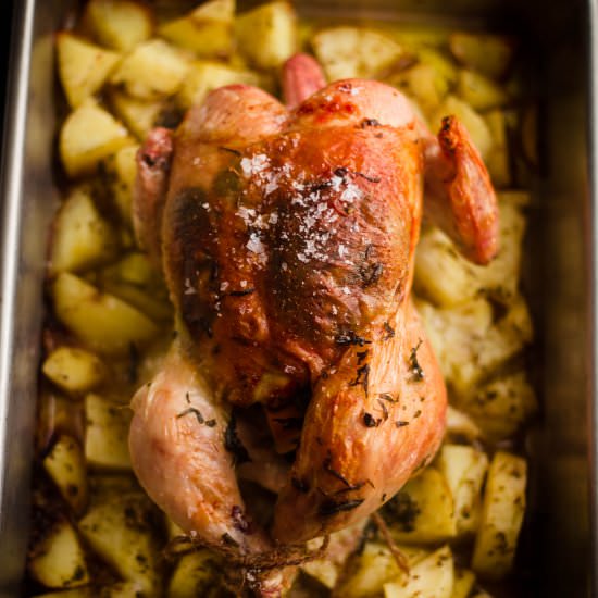 Greek Roast Chicken