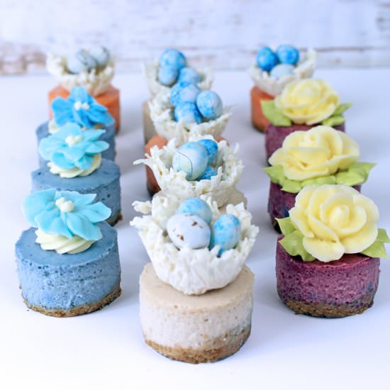 Spring Assorted Mini Cheesecakes
