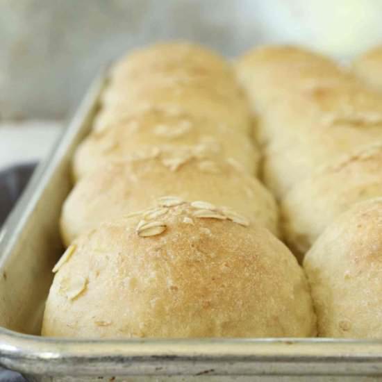 Oatmeal Dinner Rolls