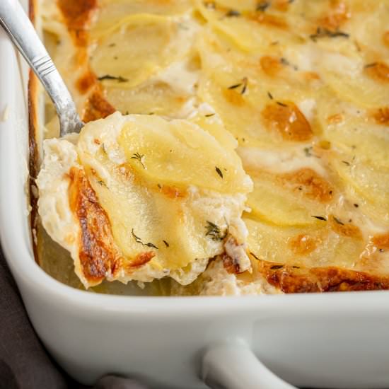 Scalloped Potatoes