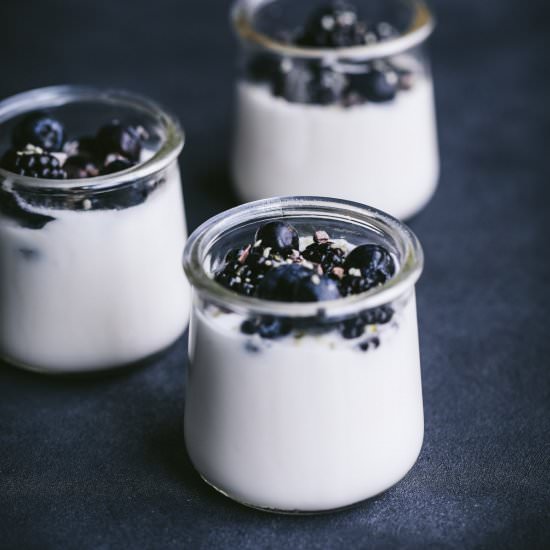 Homemade Coconut Yogurt